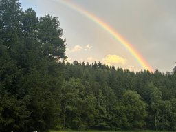 WhatsApp Image 2025-07-07 at 20.28.50